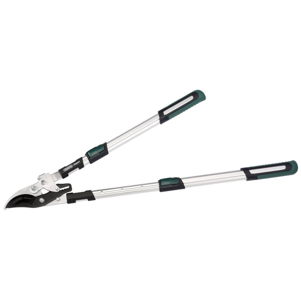 Telescopic Soft Grip Bypass Ratchet Action Loppers with Aluminium Handles