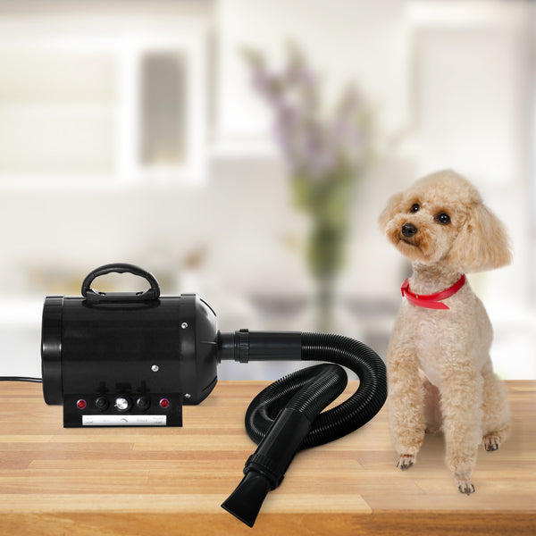 PawHut 2800W Dog Hair Dryer Pet Grooming Blaster Water Blower Dryer w/ 3 Nozzles, Black